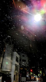 しほ（ダック京都）の写メ日記「雪?????」画像