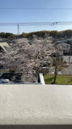 るい（京都の痴女鉄道）の写メ日記「ありがとう😊」画像